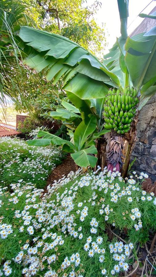 Casa Ideal Para Familias Com Vista Mar Desafogada Funchal  Kültér fotó