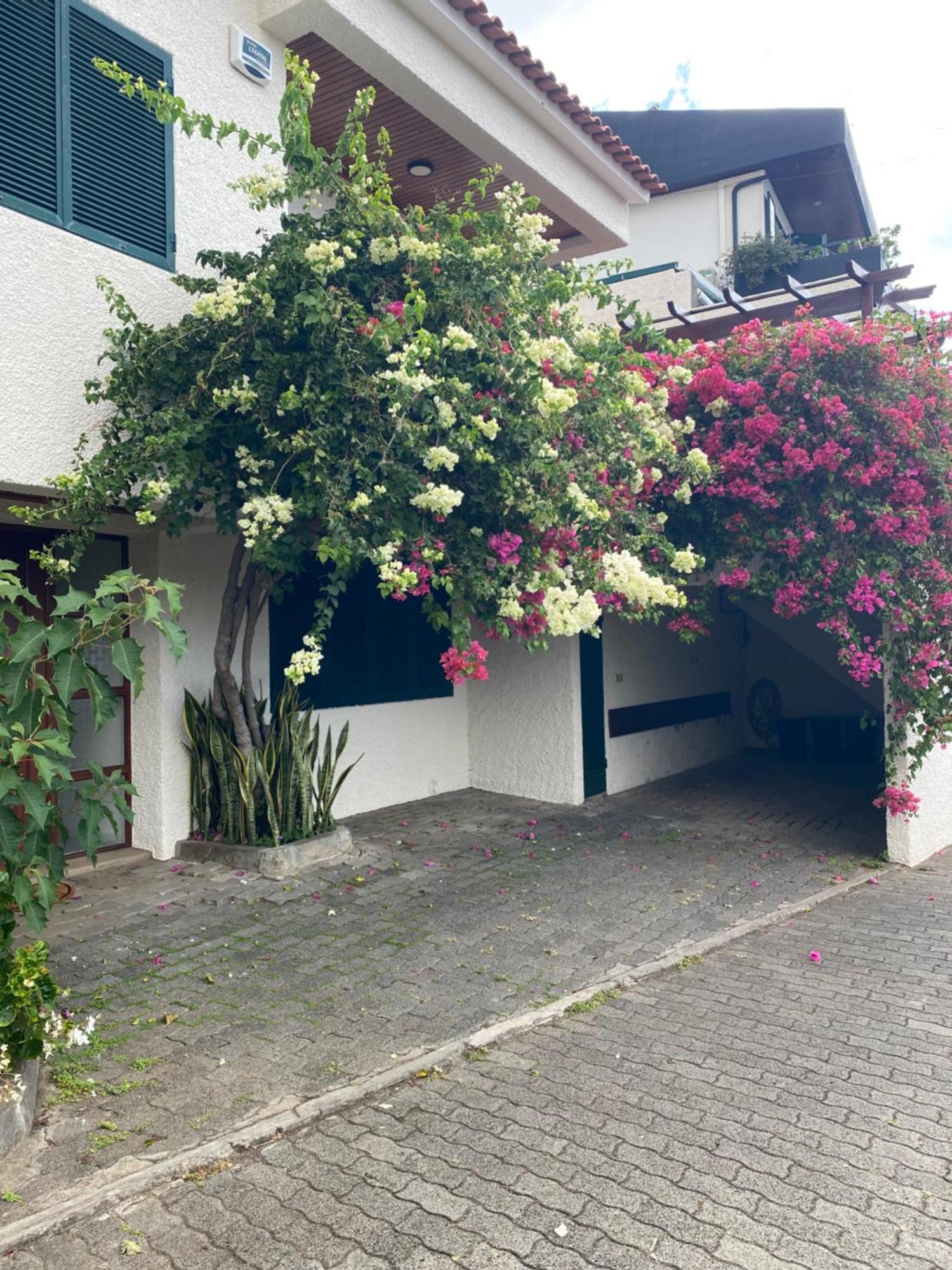 Casa Ideal Para Familias Com Vista Mar Desafogada Funchal  Kültér fotó